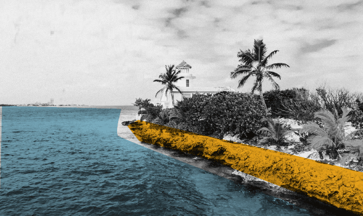 Bahamas | Identity 3-1-1